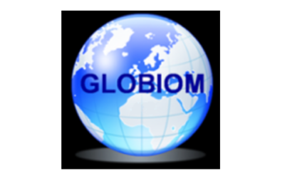 GLOBIOM GLOBIOM